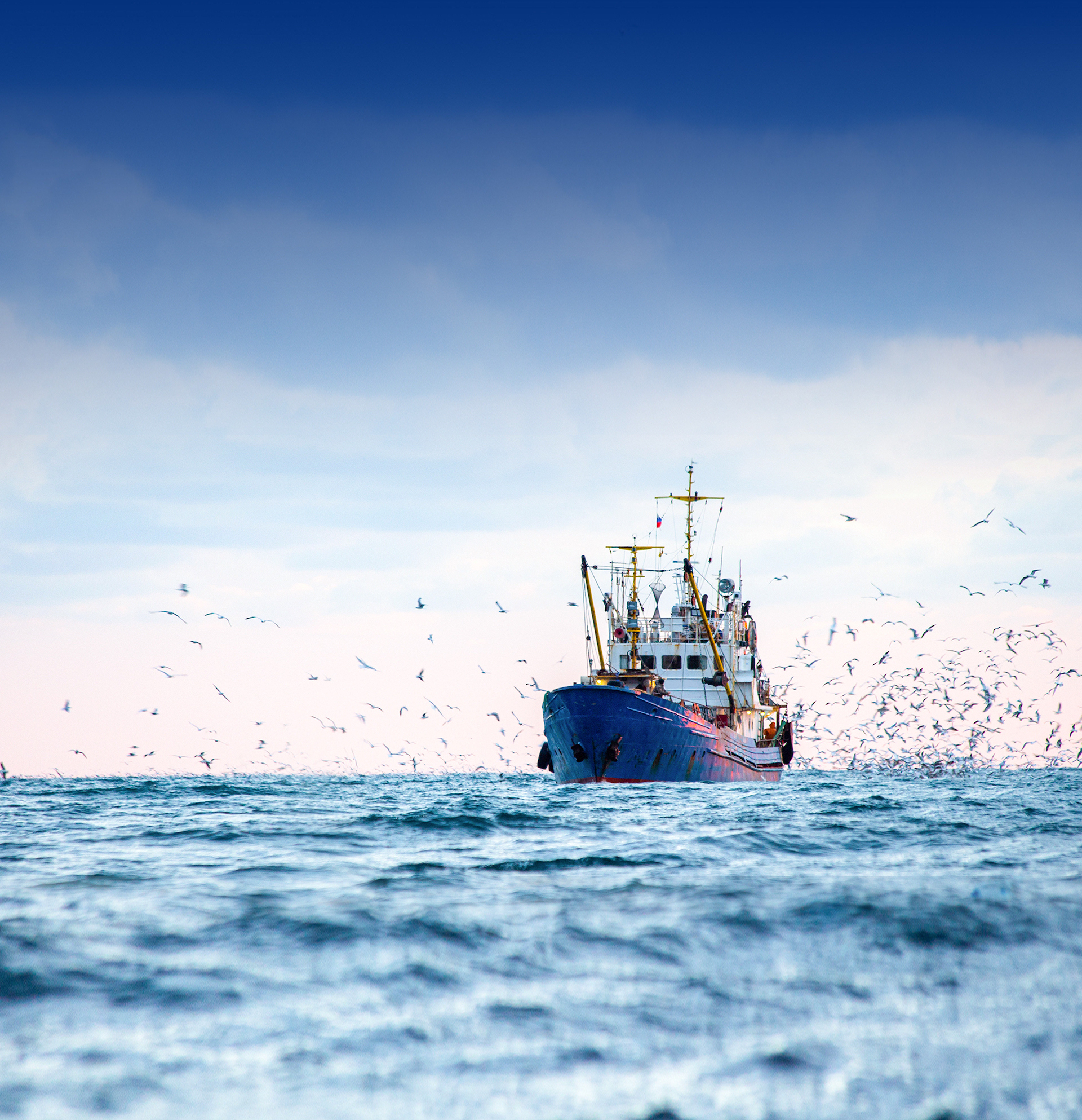 Niigata company boat